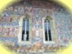 PRIMARIA COMUNEI MOLDOVITA